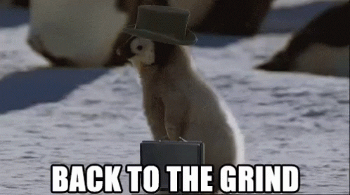 Time To Go Back To Work Gifs - Get The Best Gif On Giphy