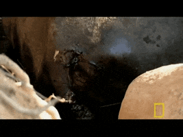 ludens84  GIF