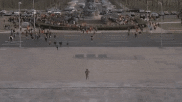 donsamraz  GIF