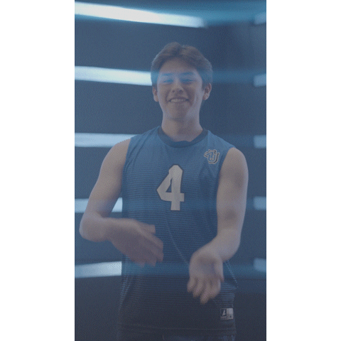 Aumensvolleyball Sticker by Aurora University Men's Volleyball