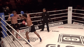 Fight Punch GIF by GLORY Kickboxing