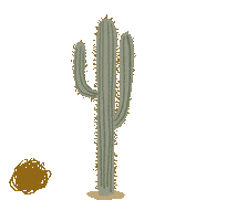 Desert Cactus Sticker by Fifth & Ninth