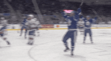 Celebration Hockey GIF by Toronto Marlies