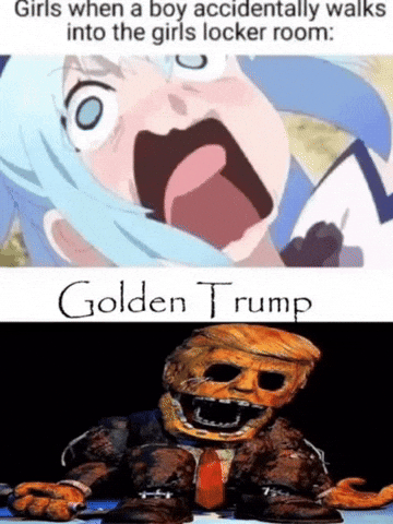 Donald Trump Usa GIF