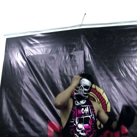 Gladiadores GIF