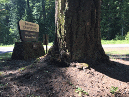 Oregon GIF