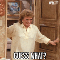 Guess Golden Girls GIF by TV Land