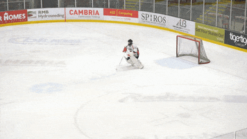 Save Ice Hockey GIF by Cardiff Fire