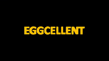 sanovotechnologygroup egg eggs excellent eggcellent GIF