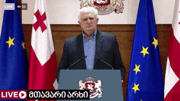 გამყრელიძე კორონა GIF