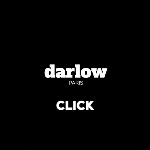 darlowparis agence web darlow creation site web creation site internet GIF