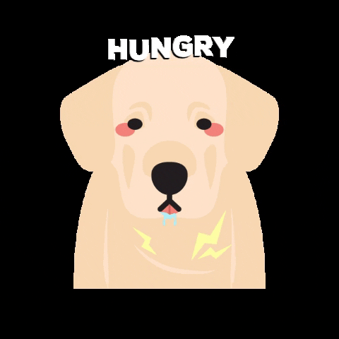 allisonchan2 dog hungry labradorretriever jomug9 GIF