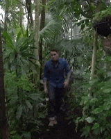 jungle fever forest GIF by Amsterdenim