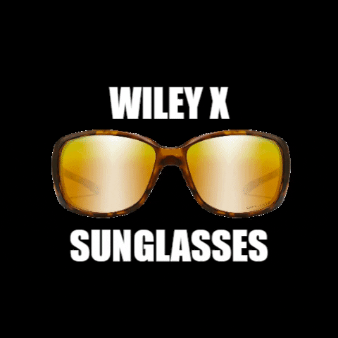 Sunglasses GIF by Wiley X EMEA