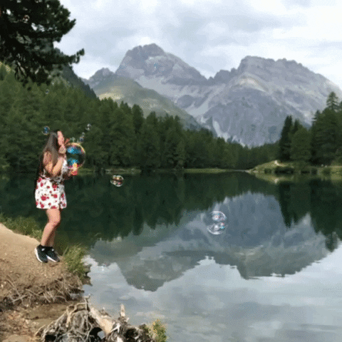 Nature GIF