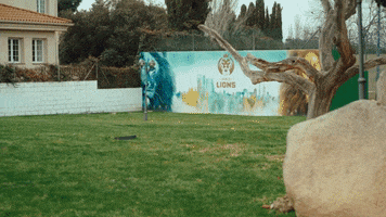 League Of Legends Lol GIF by GLS Spain