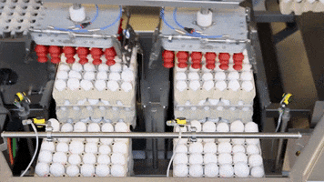 sanovotechnologygroup egg eggs loader sanovo GIF