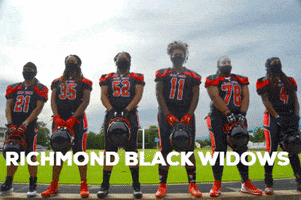 Blackwidownation GIF