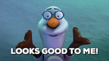 looking good northern lights GIF by LEGO