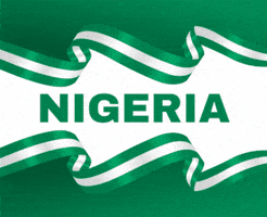 Miss Cosmo Nigeria GIF