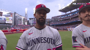 Minnesota Twins Sport GIF by MLB