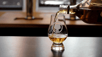 alcohol drinking GIF