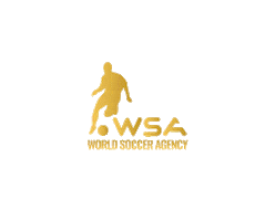 Football Wsa Sticker by worldsocceragency