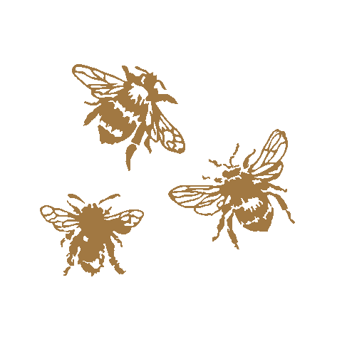 Raw Decor Sticker
