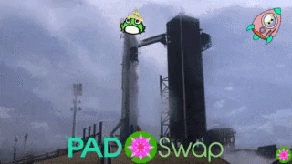 Nft GIF