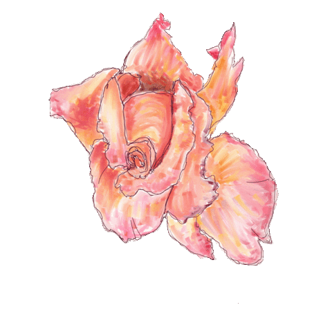 Flower Sticker