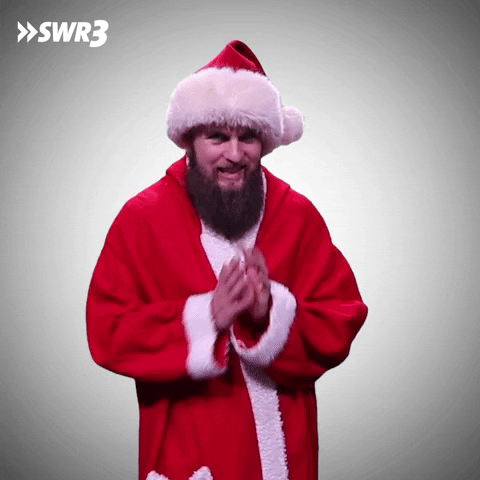 Planing Santa Claus GIF by SWR3