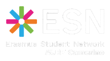 ESN AURE Camerino Sticker