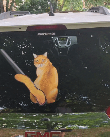 Waggingcatwiper GIF by WiperTags Wiper Covers