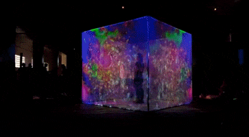 Carlotta Premazzi GIF