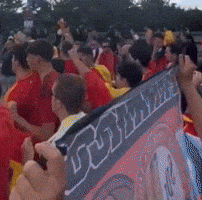 World Cup Football GIF