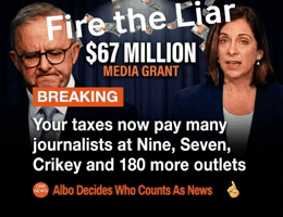Fire The Liar GIF