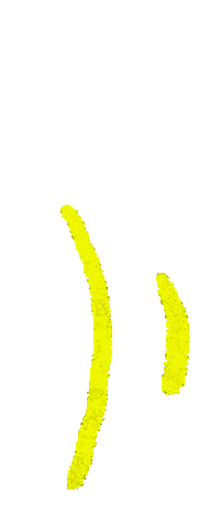 Korean Round Sticker