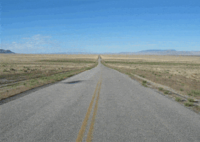 western tumbleweed gif western tumbleweed gif