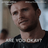 Are You Okay Valentines Day GIF by I Want You Back Movie
