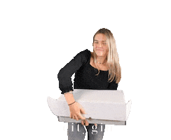 Delivery Working Sticker by Citygin