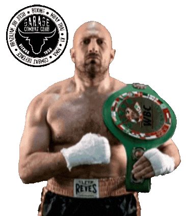 Harry Profi Sticker by GARAGEBOXING