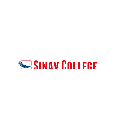 sinavegitim Sticker