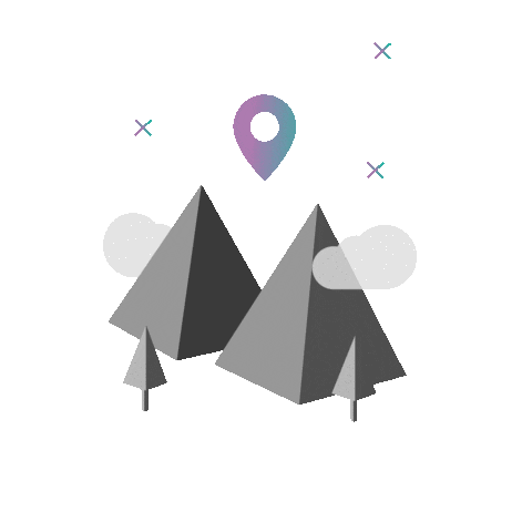 MOWI BIKE Sticker