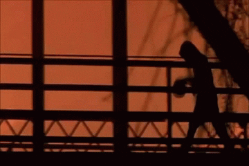 One Tree Hill Oth GIF - Find & Share on GIPHY