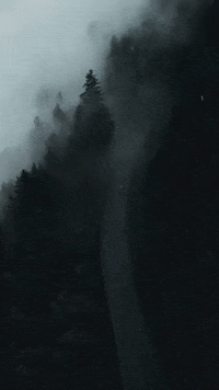 Phone-wallpaper GIFs - Get the best GIF on GIPHY Phone-wallpaper GIFs - Get the best GIF on GIPHY