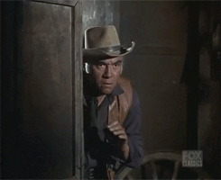 television bonanza GIF