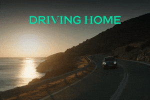 Driving Getting Home GIF by GWM ORA Europe