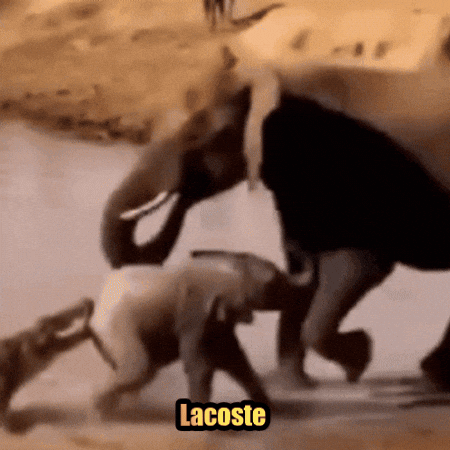 Hun GIF
