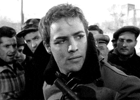 marlon brando this is agood reaction ithink GIF by Maudit