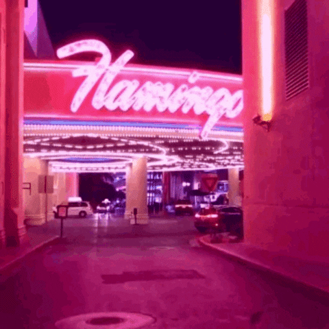 Las Vegas Pink GIF